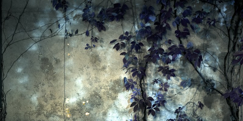 Festival de la Luz | Convocatoria 2014 | Septiembre 2014 | Museo Genáro Pérez